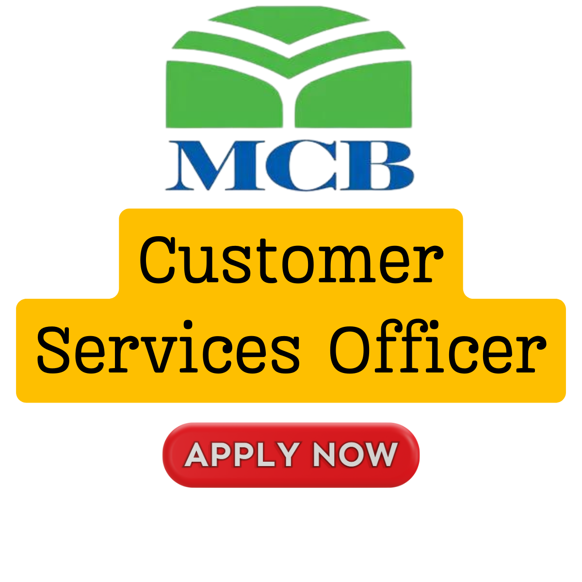 Customer Services Officer